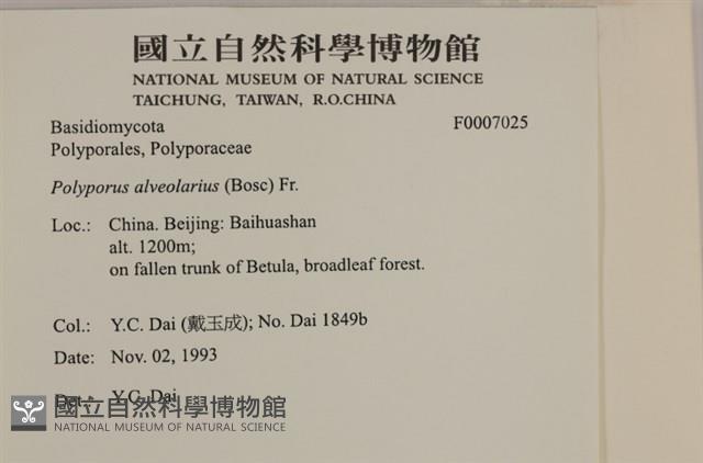 登錄號:F0007025藏品圖，第4張