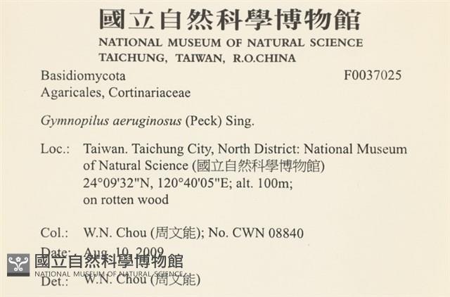 登錄號:F0037025藏品圖，第2張