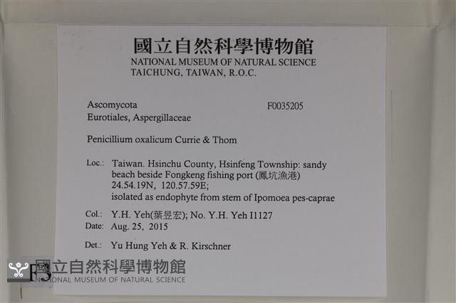 登錄號:F0035205藏品圖，第2張