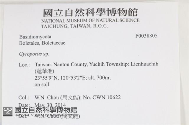 登錄號:F0038805藏品圖，第2張