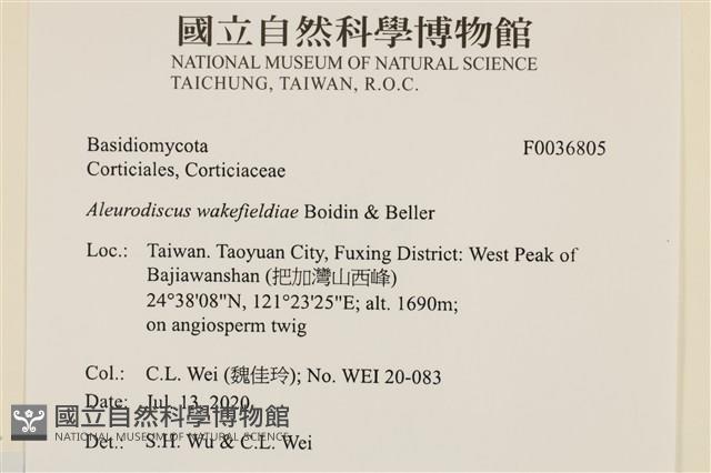 登錄號:F0036805藏品圖，第2張