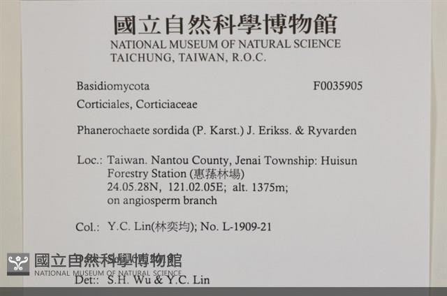 登錄號:F0035905藏品圖，第2張
