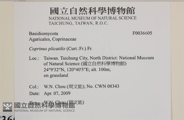 登錄號:F0036605藏品圖，第2張