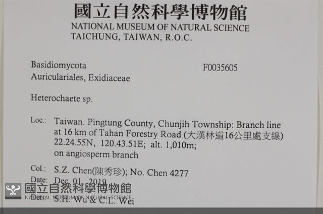 刺皮菌屬藏品圖，第2張
