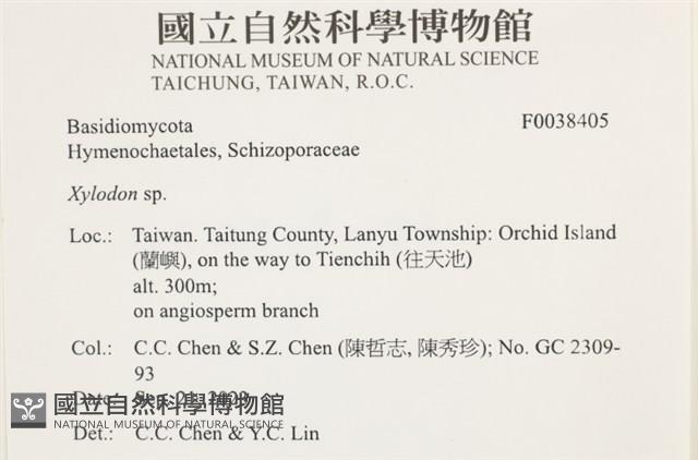 登錄號:F0038405藏品圖，第2張