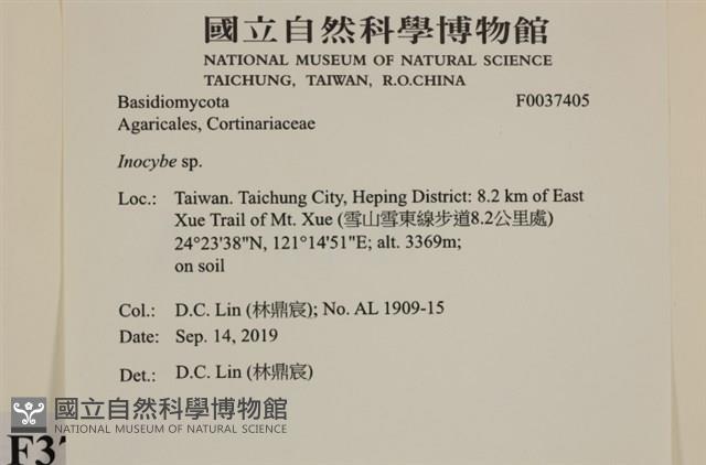登錄號:F0037405藏品圖，第2張