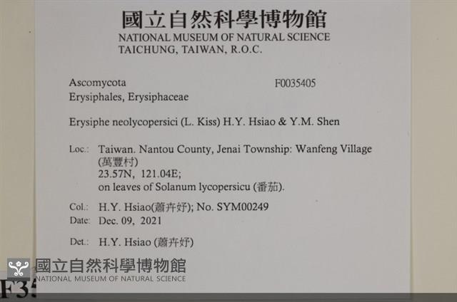 登錄號:F0035405藏品圖，第2張