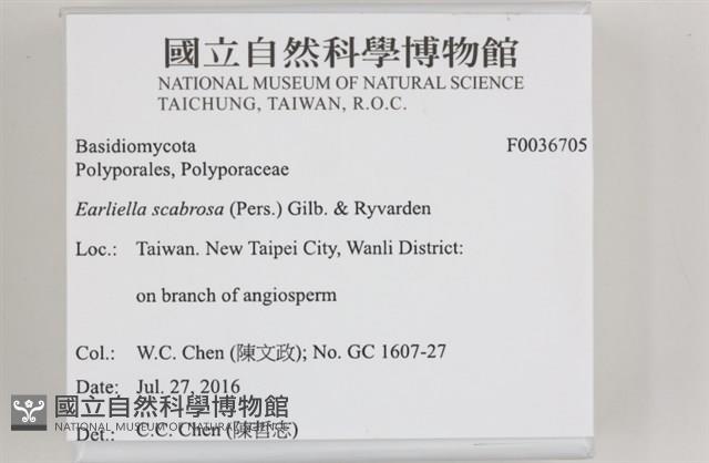 登錄號:F0036705藏品圖，第2張