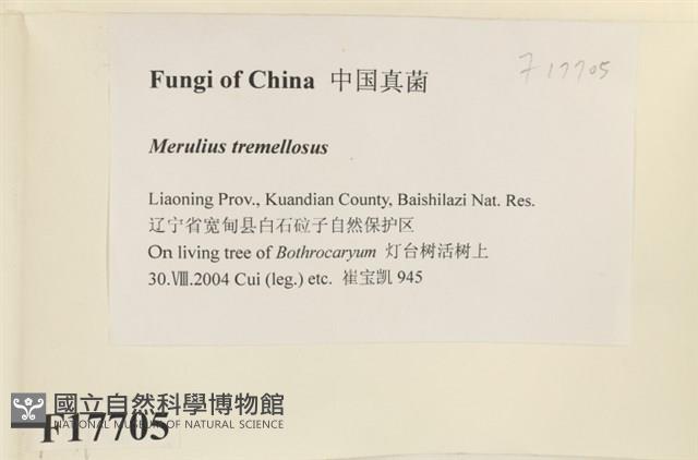 登錄號:F0017705藏品圖，第2張