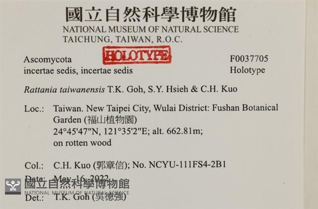 登錄號:F0037705藏品圖，第2張