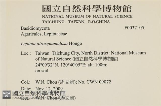 登錄號:F0037105藏品圖，第2張