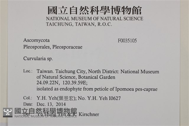 登錄號:F0035105藏品圖，第2張