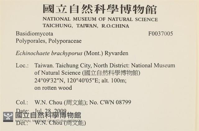 登錄號:F0037005藏品圖，第2張