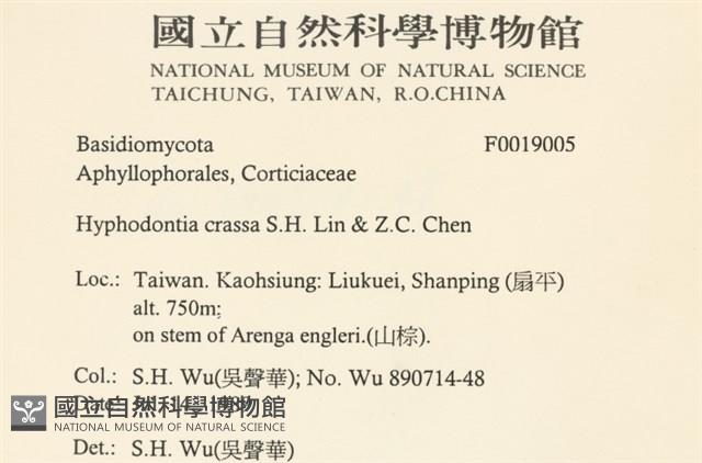登錄號:F0019005藏品圖，第2張