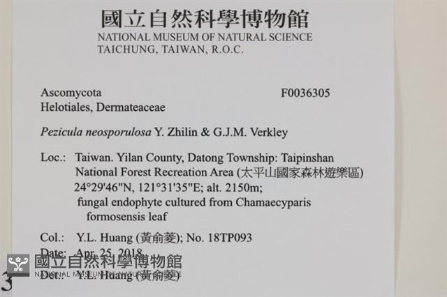 登錄號:F0036305藏品圖，第2張