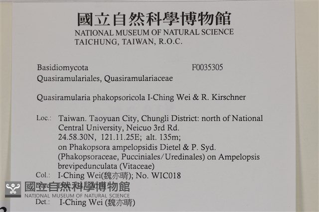 登錄號:F0035305藏品圖，第2張