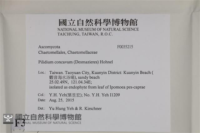 登錄號:F0035215藏品圖，第2張