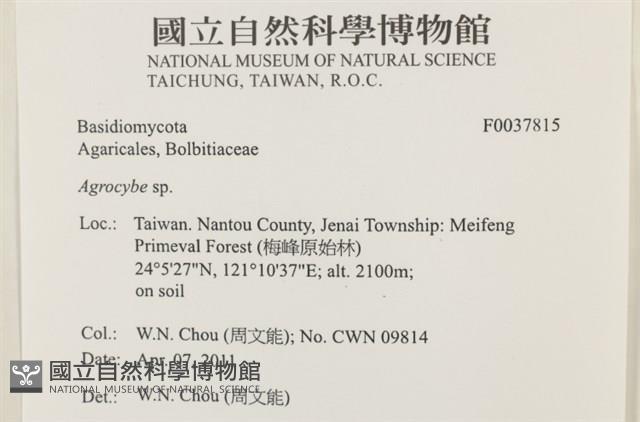 登錄號:F0037815藏品圖，第2張
