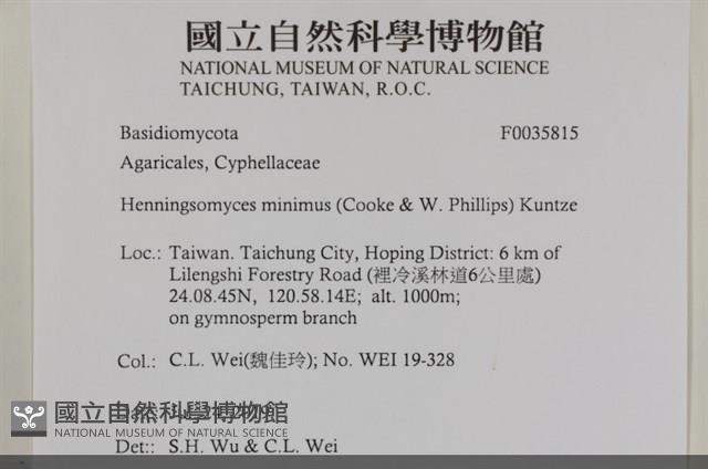 登錄號:F0035815藏品圖，第2張