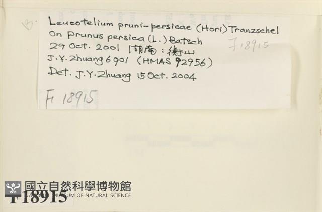 登錄號:F0018915藏品圖，第2張