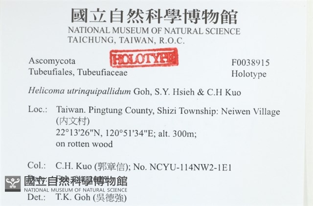 登錄號:F0038915藏品圖，第2張