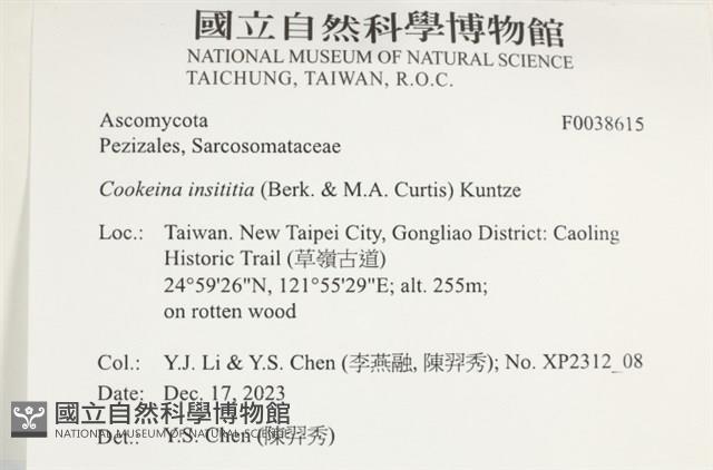 登錄號:F0038615藏品圖，第2張