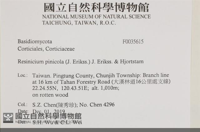 登錄號:F0035615藏品圖，第2張