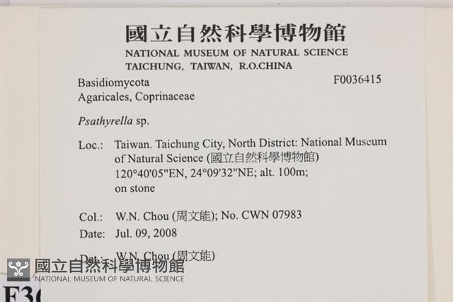 登錄號:F0036415藏品圖，第2張