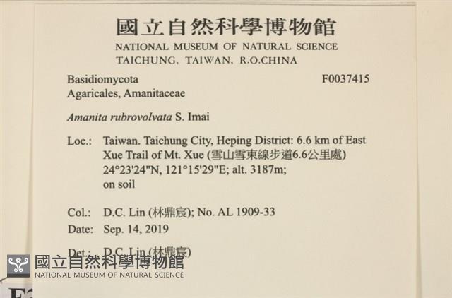 登錄號:F0037415藏品圖，第2張