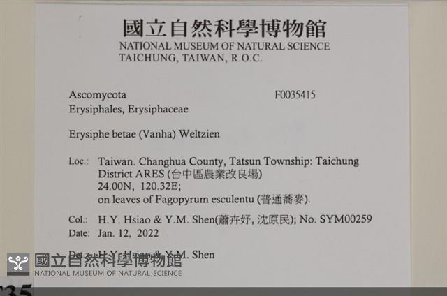 登錄號:F0035415藏品圖，第2張