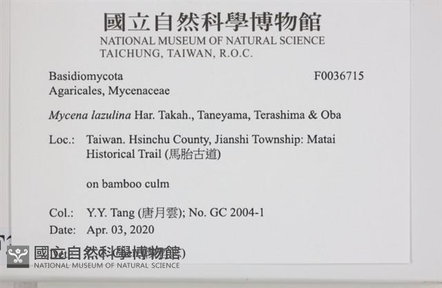 登錄號:F0036715藏品圖，第2張