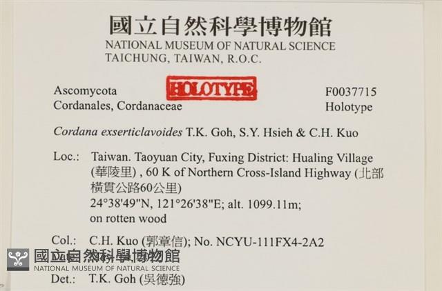 登錄號:F0037715藏品圖，第2張