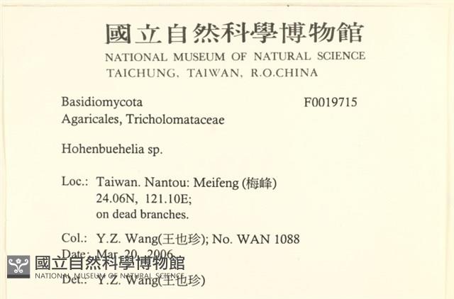 登錄號:F0019715藏品圖，第2張