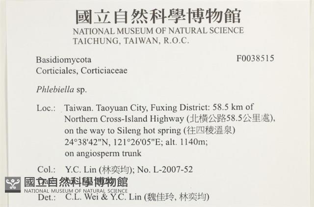 登錄號:F0038515藏品圖，第2張