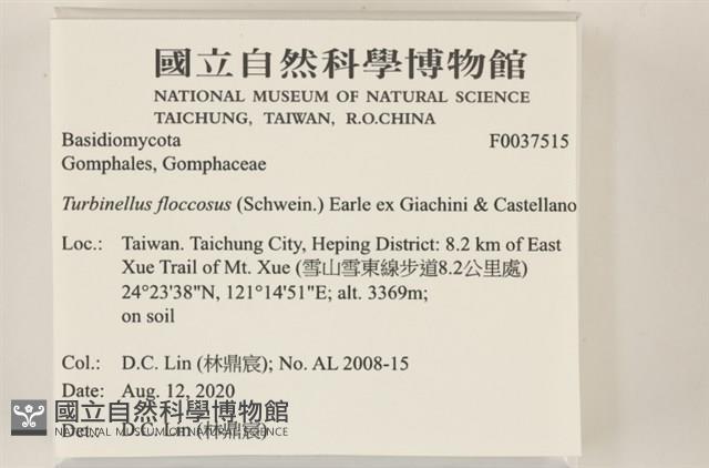 登錄號:F0037515藏品圖，第2張