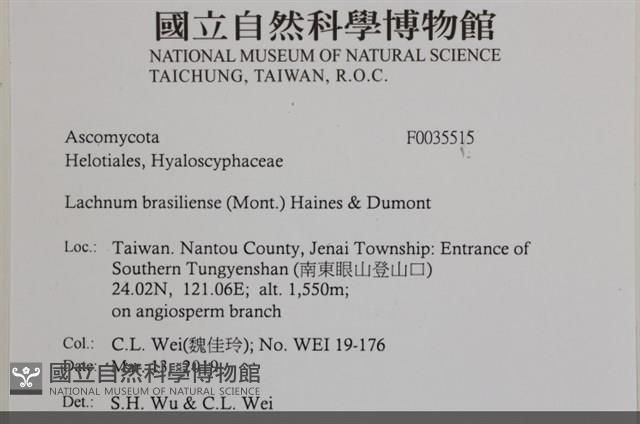 登錄號:F0035515藏品圖，第2張