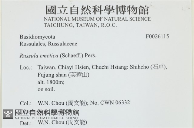 登錄號:F0026115藏品圖，第4張