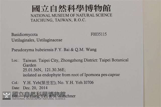 登錄號:F0035115藏品圖，第2張
