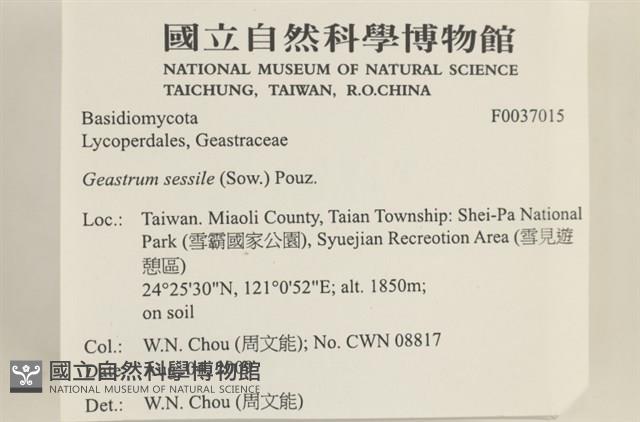 登錄號:F0037015藏品圖，第2張