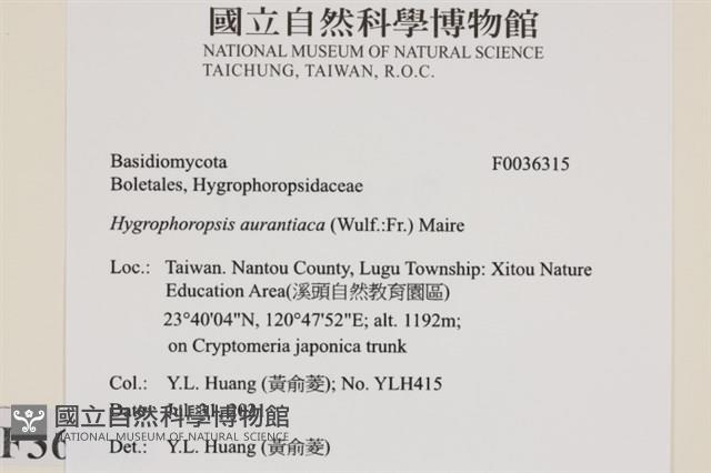 登錄號:F0036315藏品圖，第2張