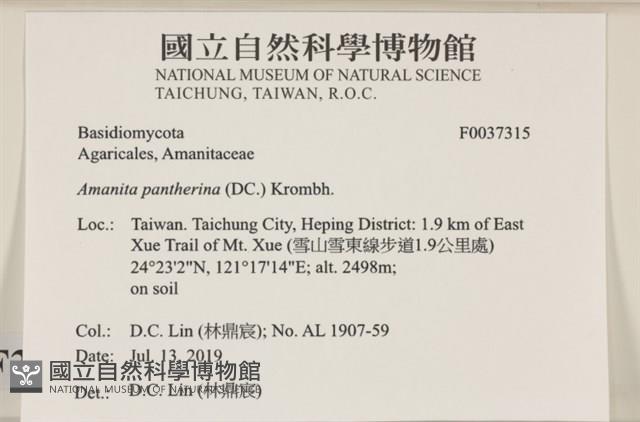 登錄號:F0037315藏品圖，第2張