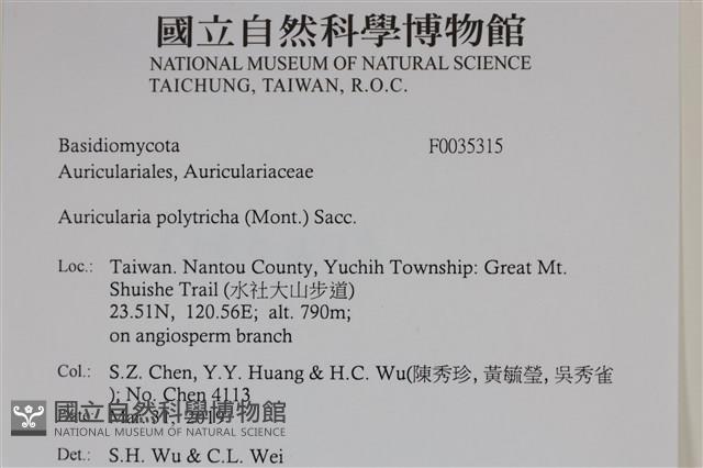 毛木耳藏品圖，第2張