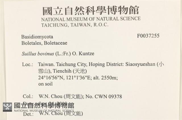 登錄號:F0037255藏品圖，第2張