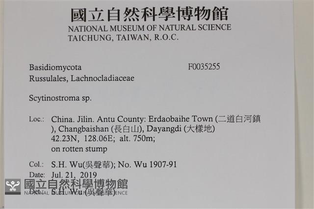 登錄號:F0035255藏品圖，第2張