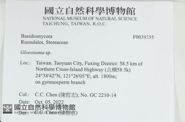 登錄號:F0039255藏品圖，第1張