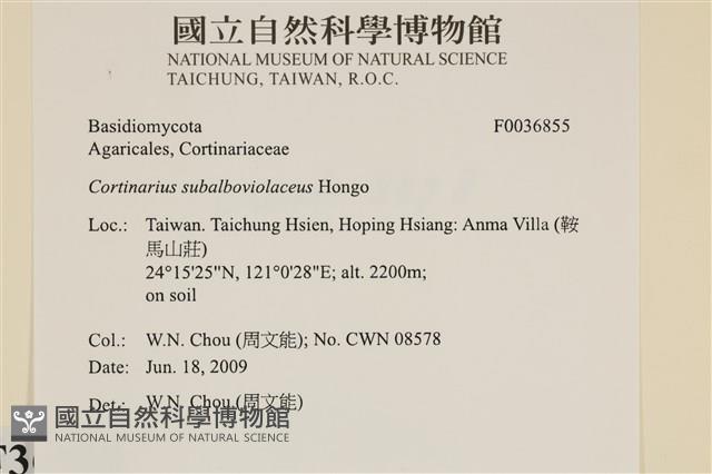登錄號:F0036855藏品圖，第2張