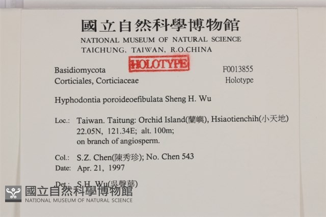 登錄號:F0013855藏品圖，第5張