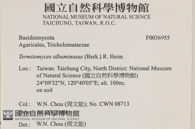 登錄號:F0036955藏品圖，第2張