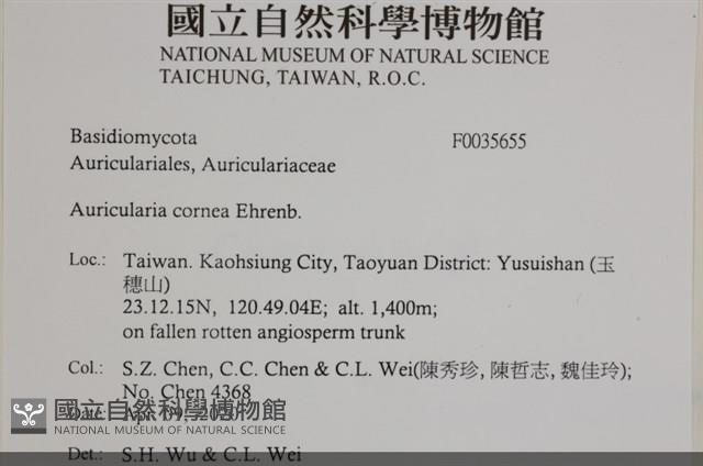 登錄號:F0035655藏品圖，第2張