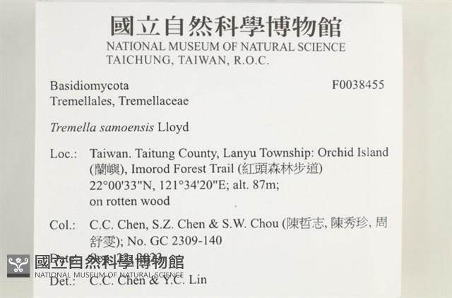 登錄號:F0038455藏品圖，第2張